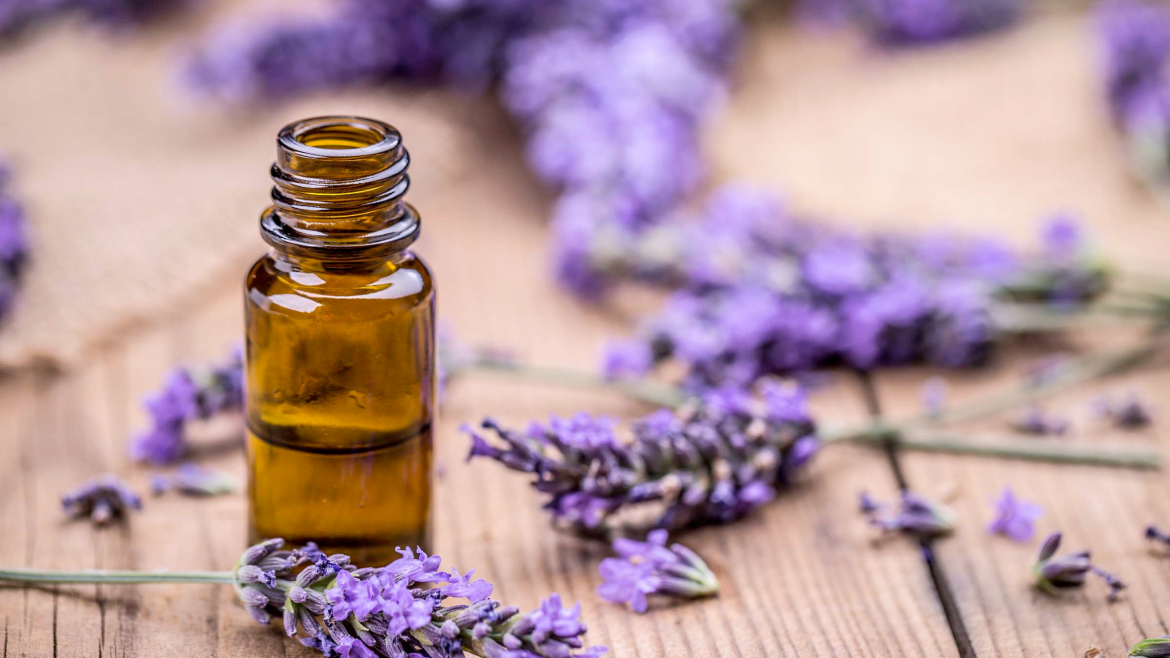 11 Best Essential Oils for Stress and Anxiety